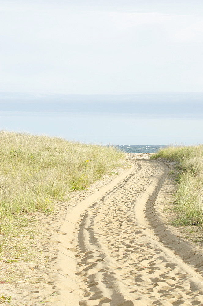 Path with tyre track, Nantucket, Massachusetts