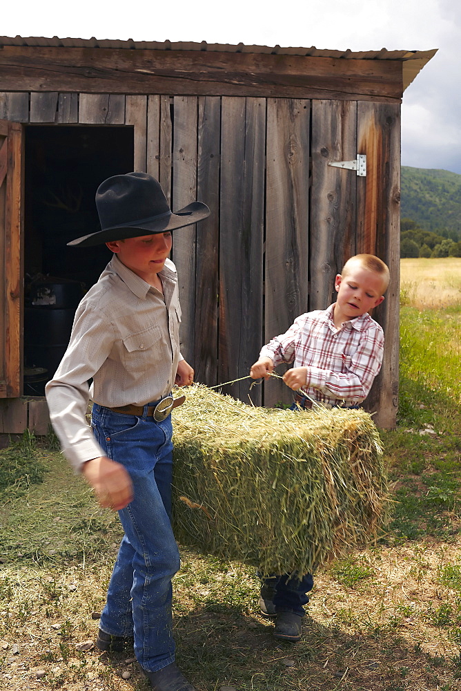 Boys collecting hay, USA, Colorado 