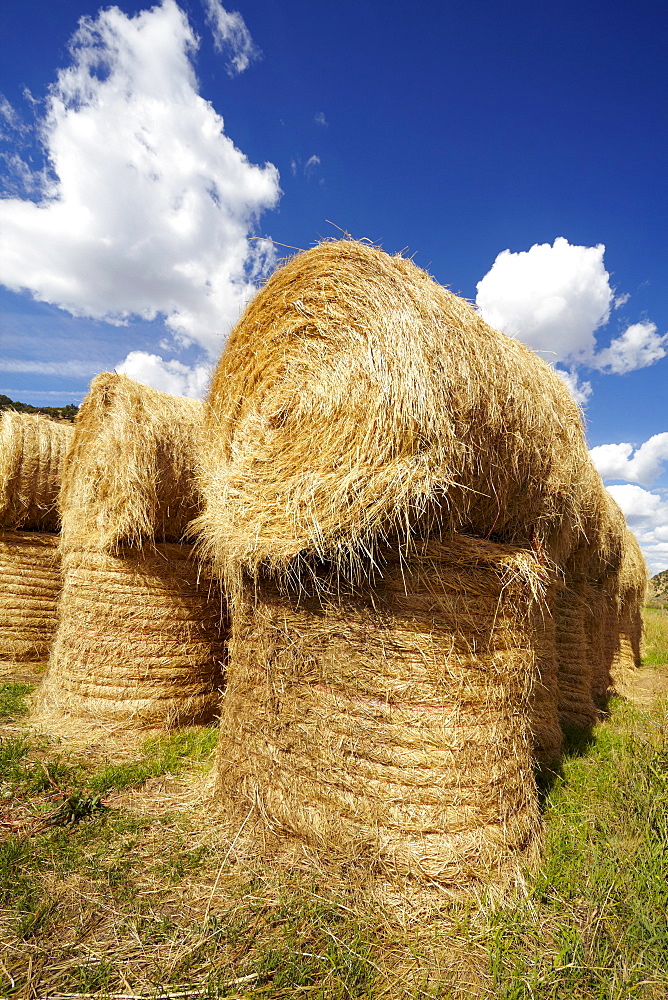 Idyllic scene of hay stacks on field, USA, Western Colorado