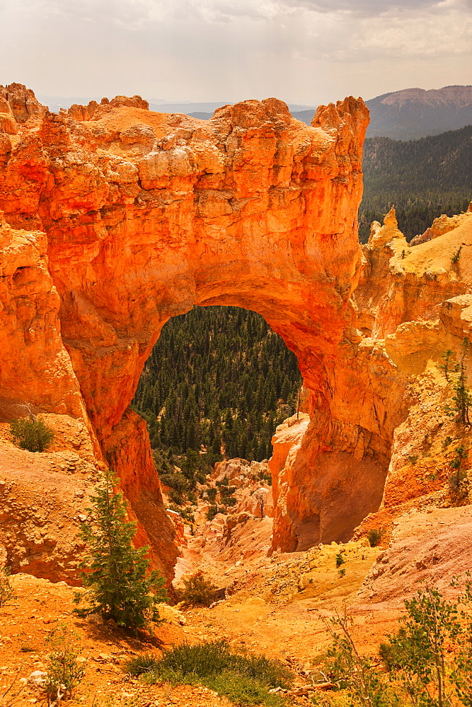 View of natural arch, USA, Utah, Bryce Canyon