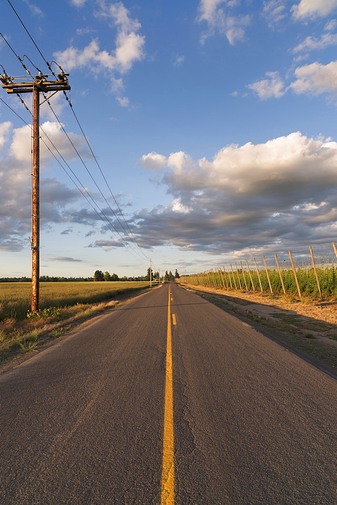 Empty road in diminishing perspective, Marion County, Oregon