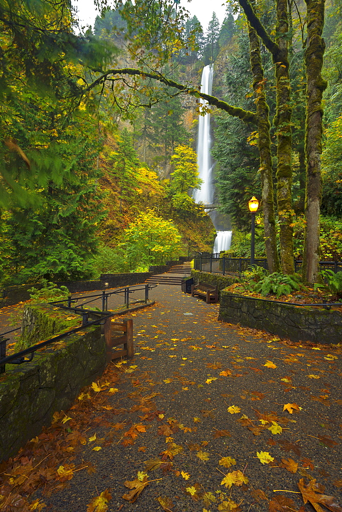 Multnomah Falls in autumn, Multnomah Falls, Oregon