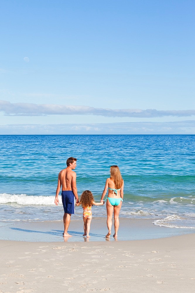 Family walking towards the sea on the beach