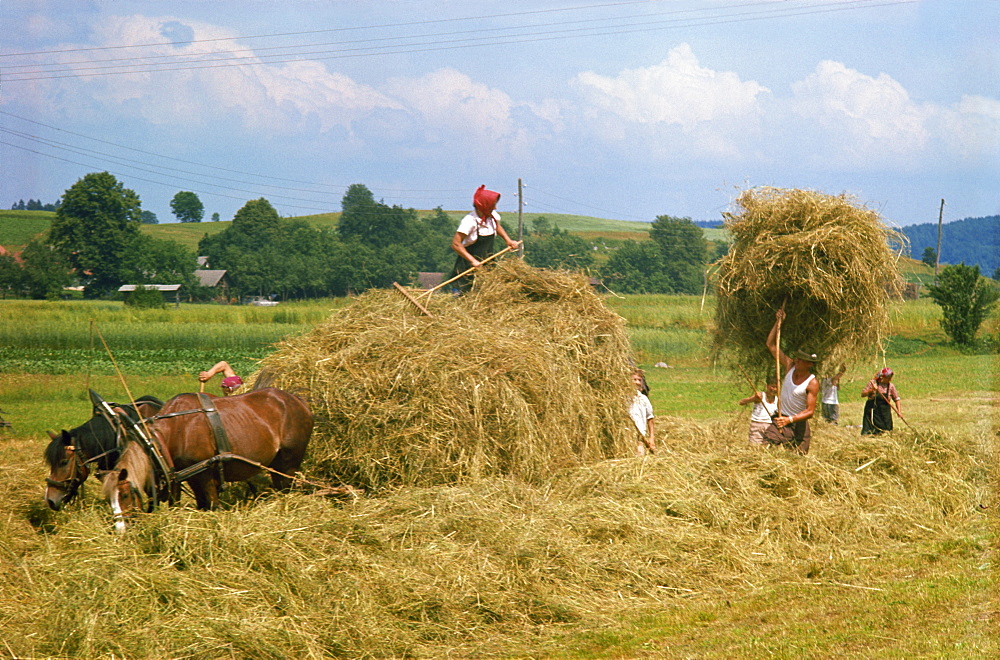 Haymaking in olden days, Europe