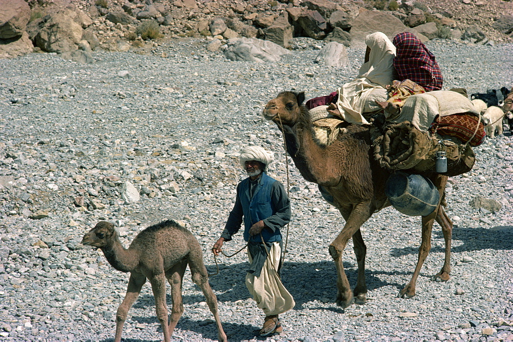 Baluchi nomads, Bolan Pass, Baluchistan, Pakistan, Asia