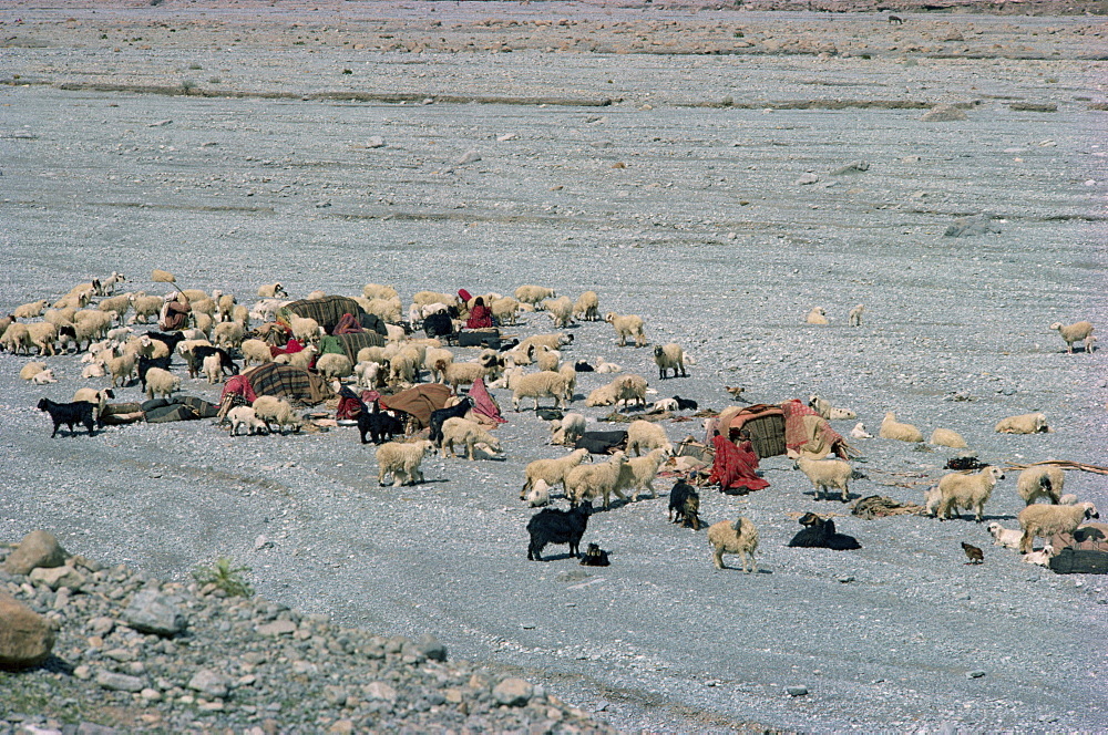 Baluchi nomads, Bolan Pass, Baluchistan, Pakistan, Asia