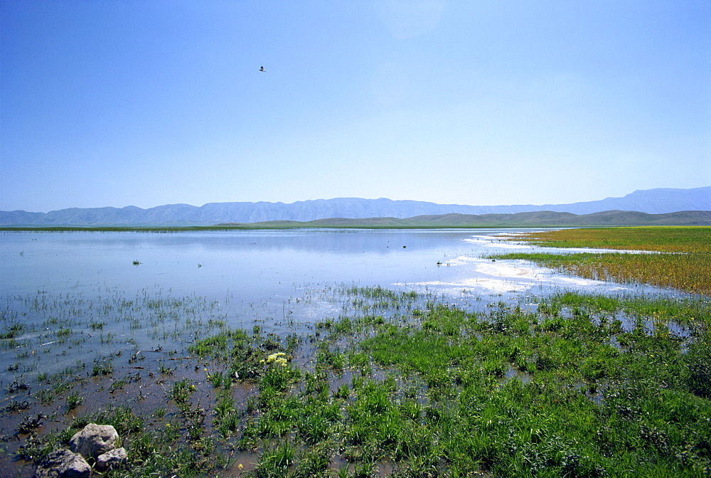 Lake Paresham, Iran, Middle East