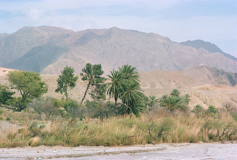 Area near Quetta, Baluchistan, Pakistan, Asia