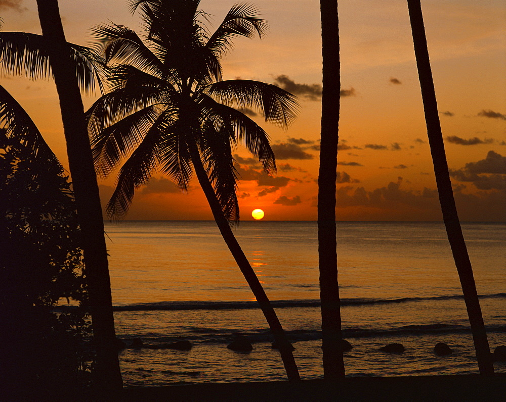 Beach at sunset, Barbados, West Indies, Caribbean, Central America