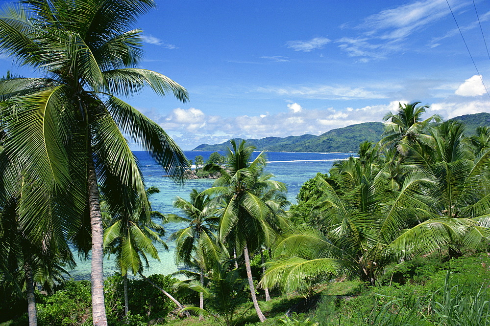 Seychelles, Indian Ocean, Africa