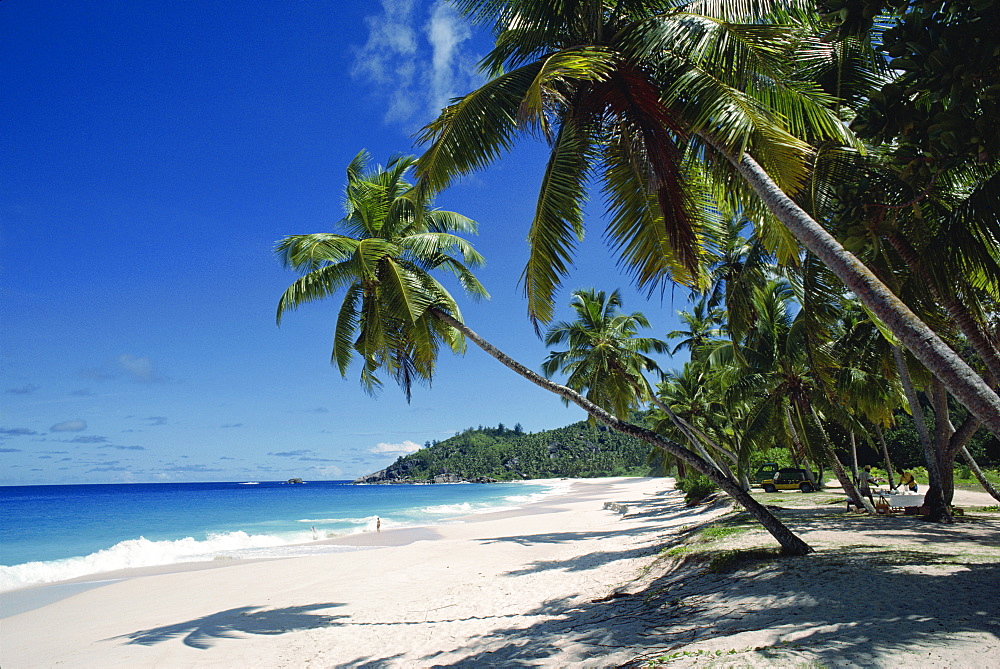 Anse Intedance, Mahe, Seychelles, Indian Ocean, Africa