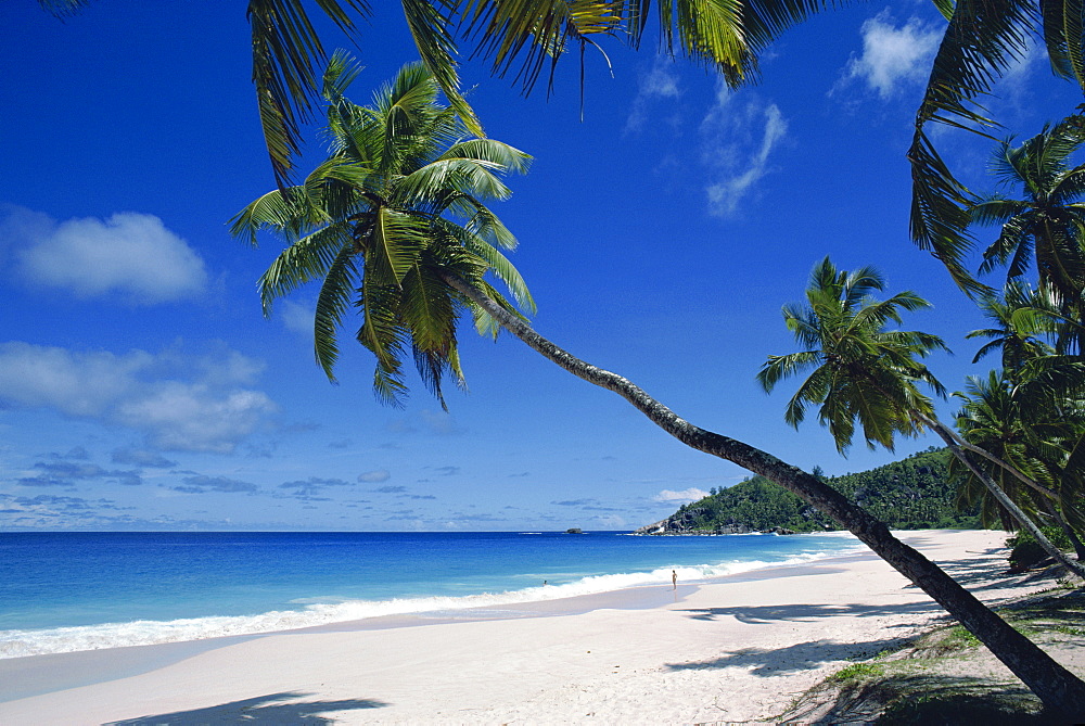 Anse Intedance, Mahe, Seychelles, Indian Ocean, Africa