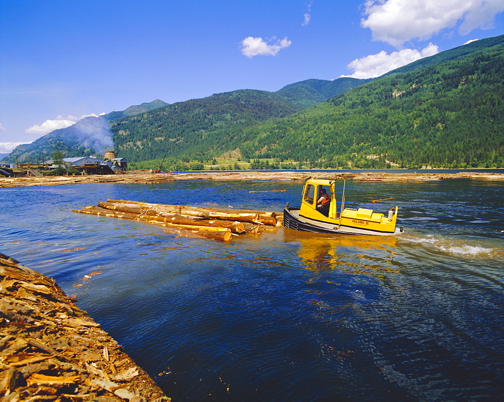 Logs for processing, British Columbia, Canada