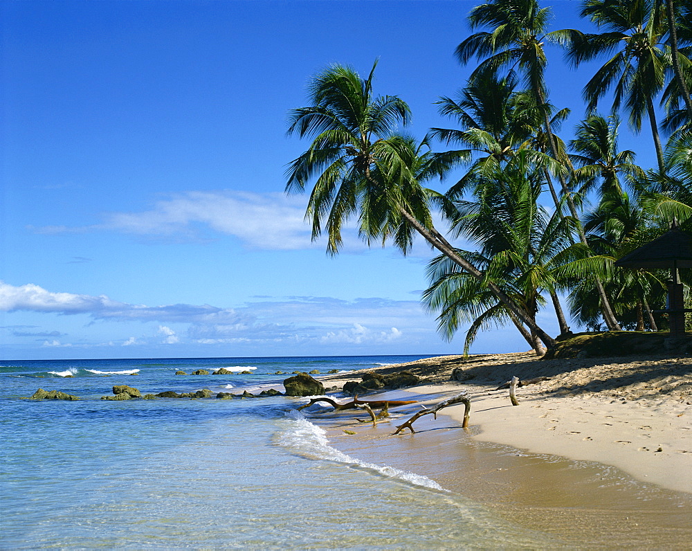 Beach, Barbados, West Indies, Caribbean, Central America