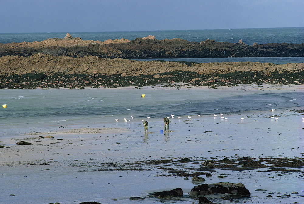 Guernsey, Channel Isles, United Kingdom, Europe