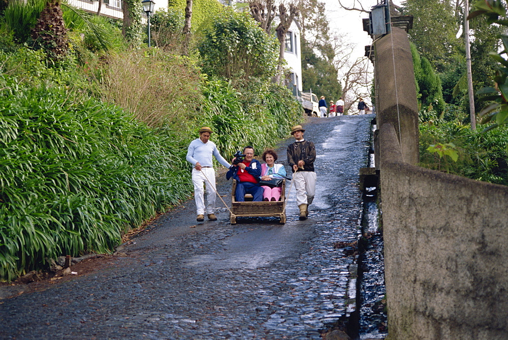 Monte, Madeira, Portugal, Europe