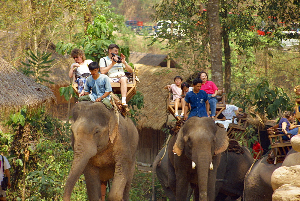 Tourists taking elephant ride at Elephant Show, near Chiang Mai, Thailand, Southeast Asia, Asia