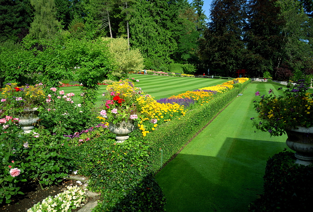 Butchart Gardens, Victoria, Vancouver Island, British Columbia, Canada, North America