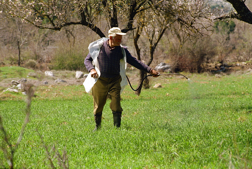 Farmer spraying field on Lasithi Plateau, Crete, Greek Islands, Greece, Europe