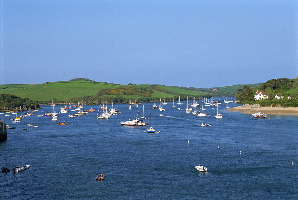 Salcombe, Devon, England, United Kingdom, Europe