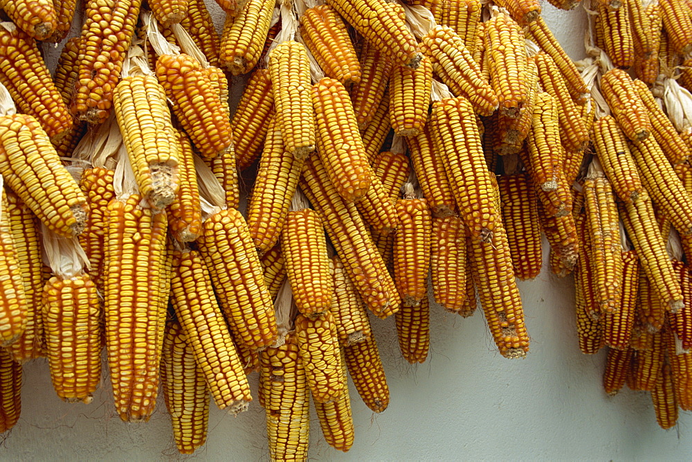 Corn drying near Hermigua, La Gomera, Canary Islands, Spain, Atlantic, Europe