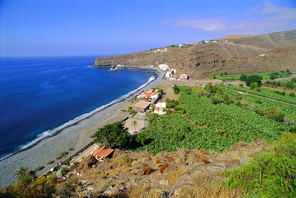 Banana Plantations, Santiago, La Gomera,  Canary Islands, Spain