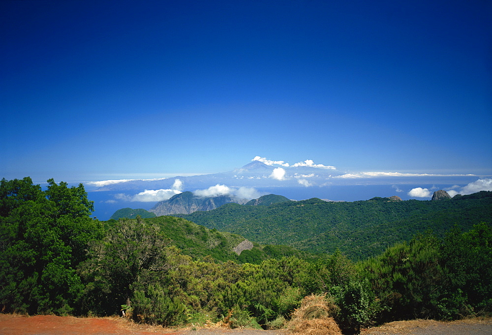 Garajonay National Park, UNESCO World Heritage Site, with island of Tenerife in background, La Gomera, Canary Islands, Spain, Atlantic, Europe