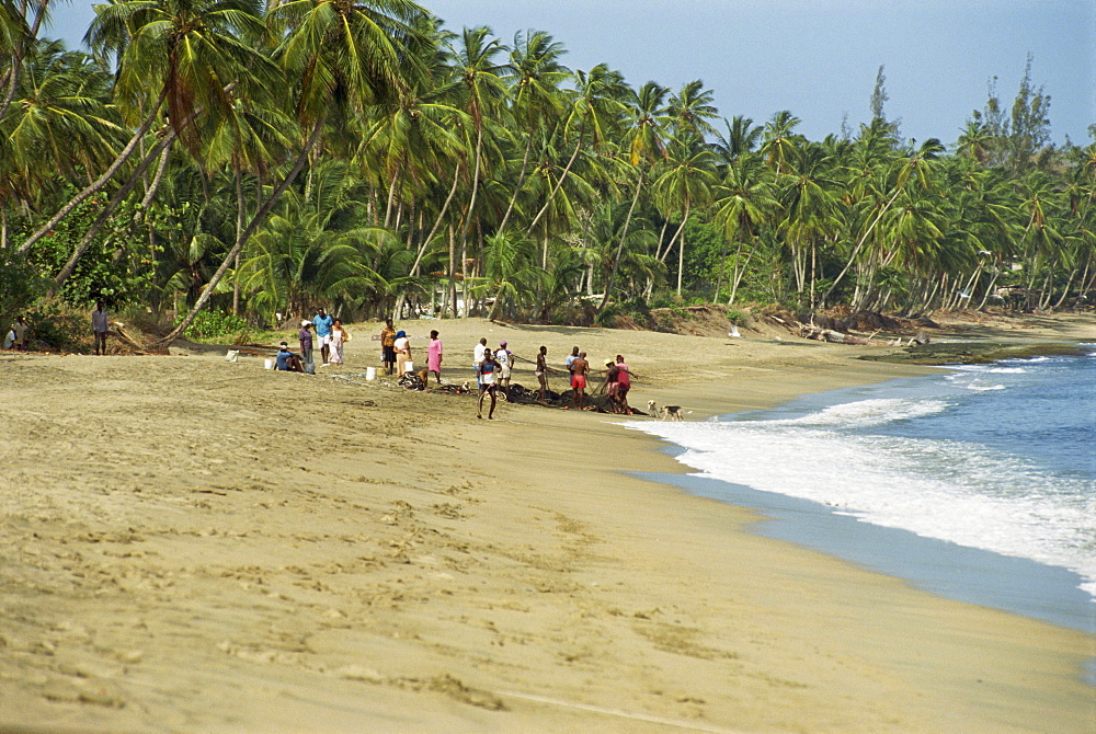 Fishermen on Turtle Beach, Tobago, West Indies, Caribbean, Central America