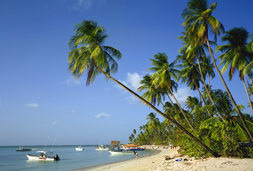 Pigeon Point, Tobago, West Indies, Caribbean, Central America