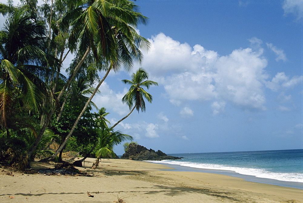 Turtle Beach, Tobago, West Indies, Caribbean, Central America