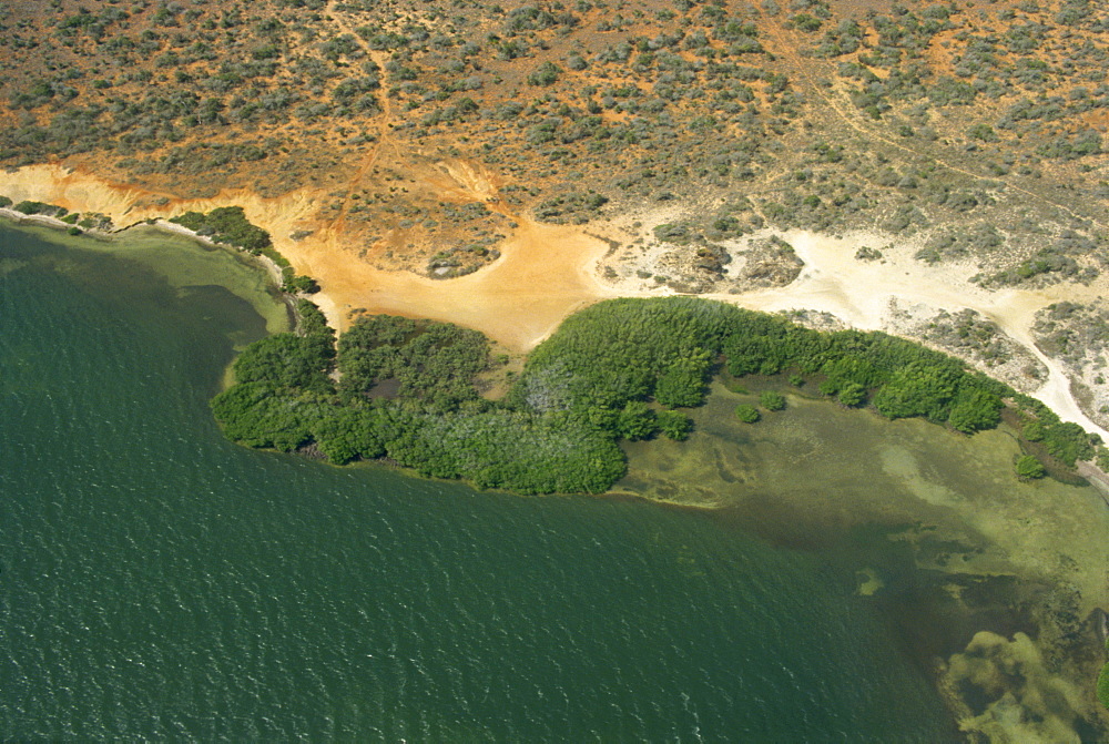 Island of Margarita, Venezuela, South America