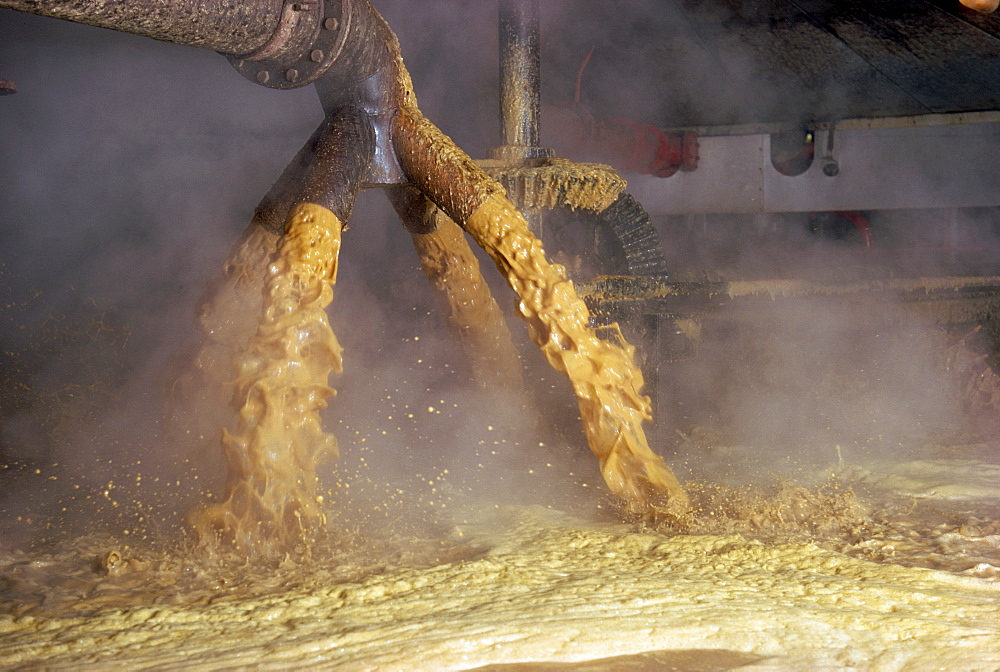 Whisky production, Scotland, United Kingdom, Europe