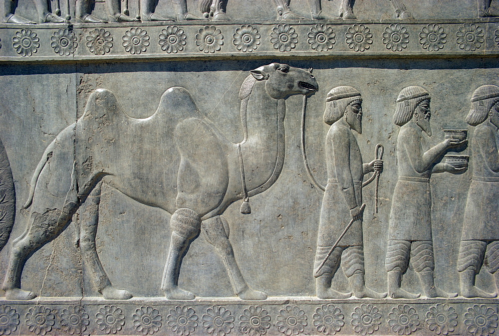 Reliefs, Persepolis, UNESCO World Heritage Site, Iran, Middle East