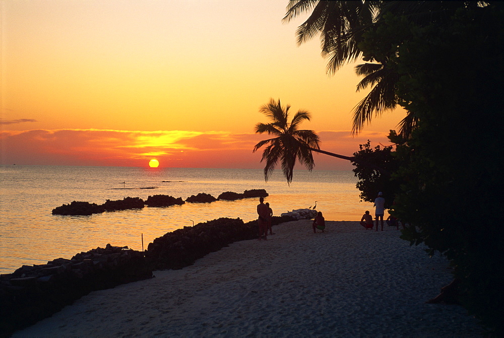 Nakatchafushi, Maldive Islands, Indian Ocean, Asia