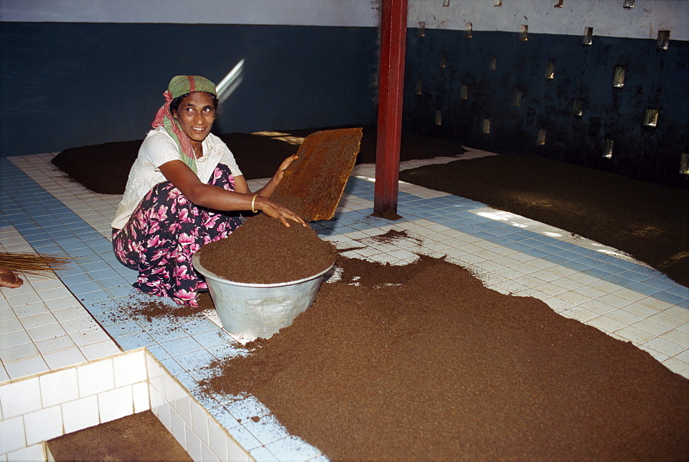 Tea factory, Nuwara Eliya area, Sri Lanka, Asia