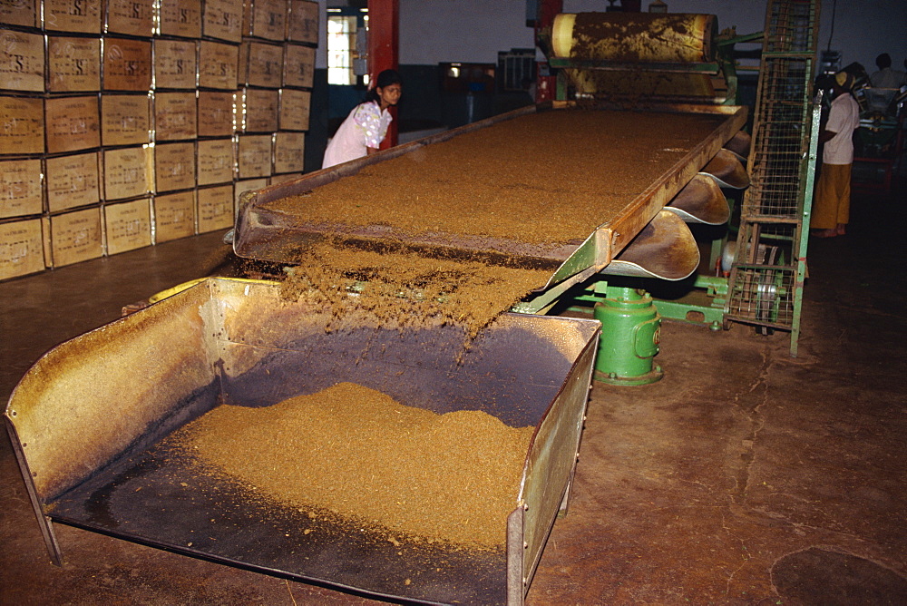 Tea factories, Nuwara Eliya area, Sri Lanka, Asia