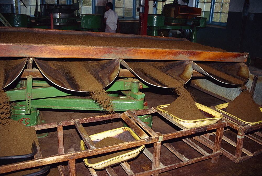 Tea factory, Nuwara Eliya area, Sri Lanka, Asia