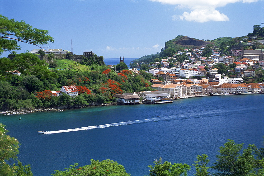 St. George's, Grenada, Windward Islands, West Indies, Caribbean, Central America