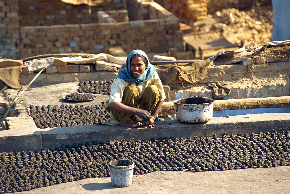 Woman making dung pats for fuel, Agra, Uttar Pradesh state, India, Asia