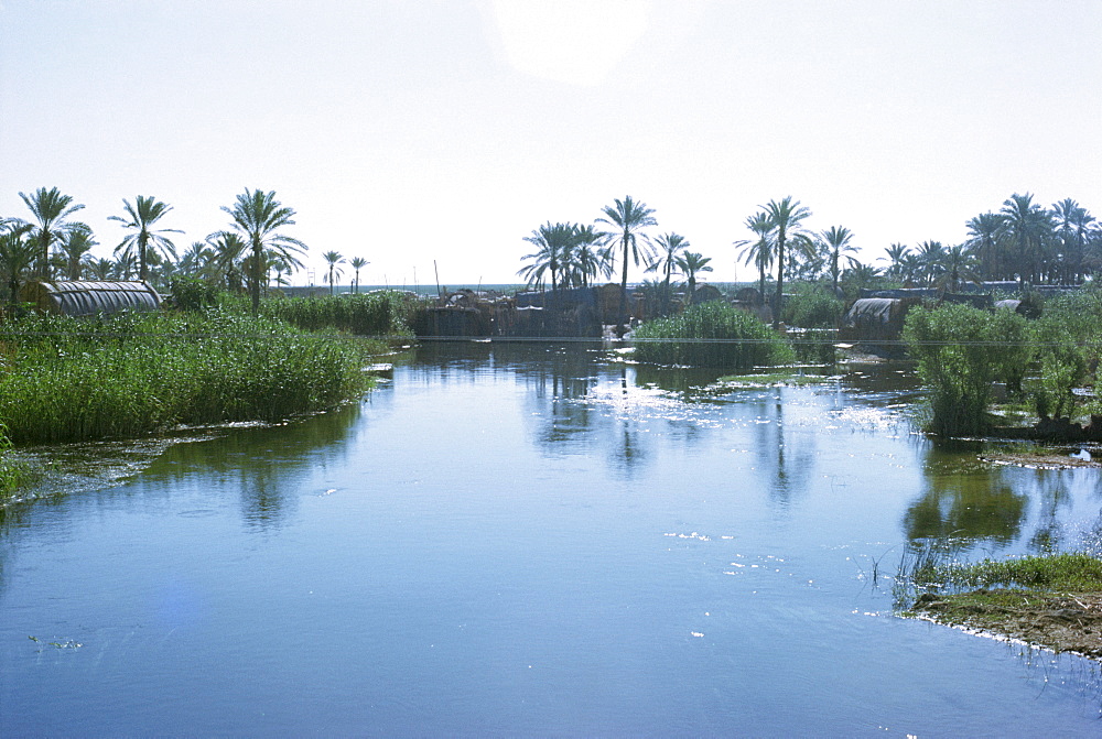 Village of the Marsh Arabs, taken in the 1970s, Iraq, Middle East