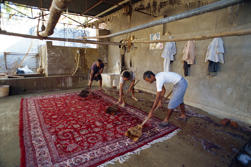 Washing newly made carpets to tighten pile and clean out dyes, Jaipur, Rajasthan state, India, Asia