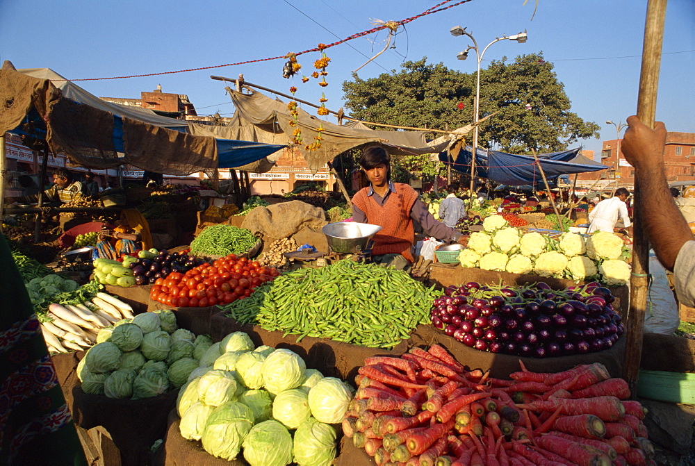 Vegetable stall in the market, Jaipur, Rajasthan state, India, Asia