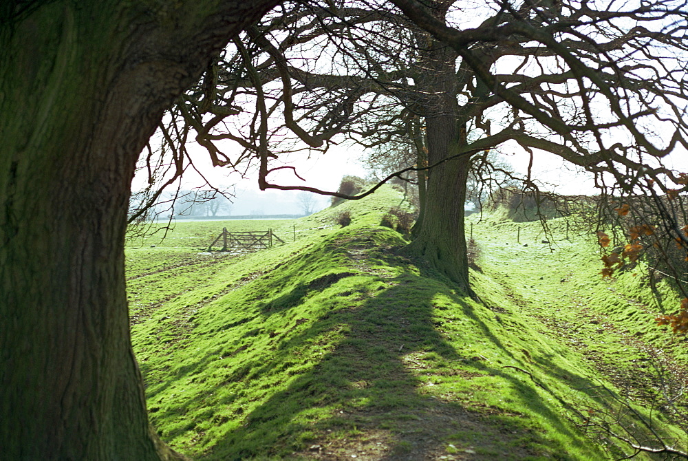 Offa's Dyke, Denbighshire, Wales, United Kingdom, Europe