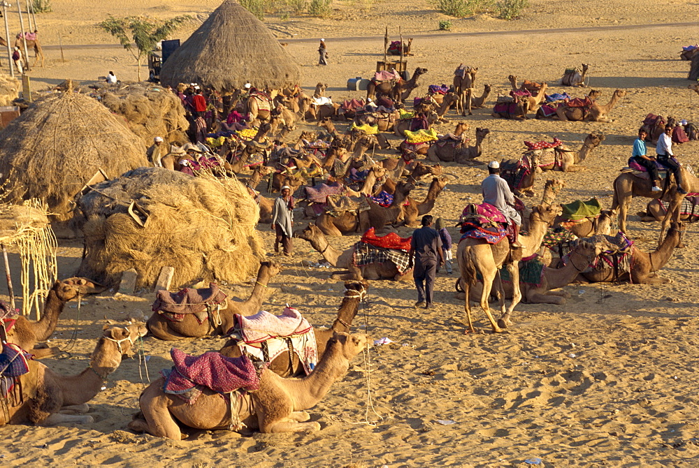 Sam Sand Dunes at dusk, near Jaisalmer, Rajasthan state, India, Asia