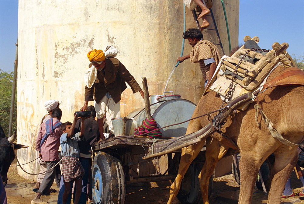 Collecting water at cattle fair near Dechhu, north of Jodhpur, Rajasthan state, India, Asia