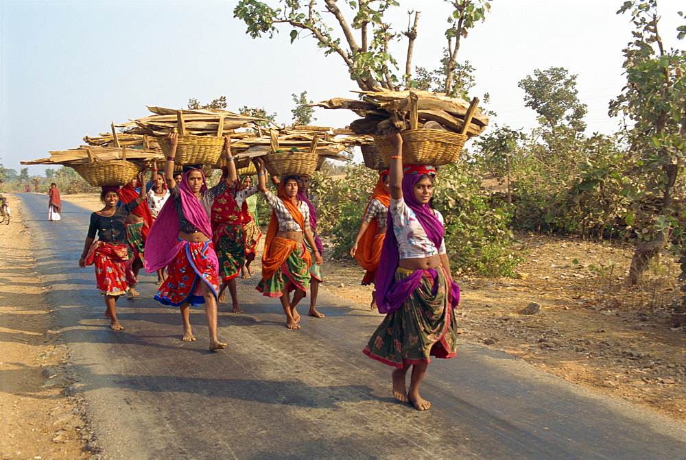 Women collecting firewood near Dhariyawad, Rajasthan state, India, Asia