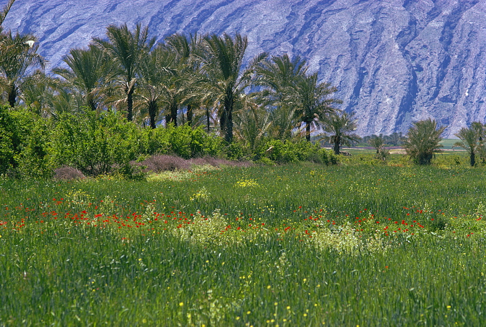 Landscape near Kagerum, Iran, Middle East