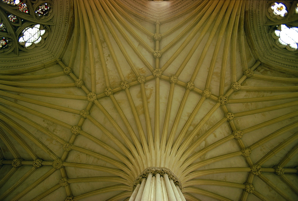 Ceiling of the Chapter House, Wells Cathedral, Somerset, England, United Kingdom, Europe