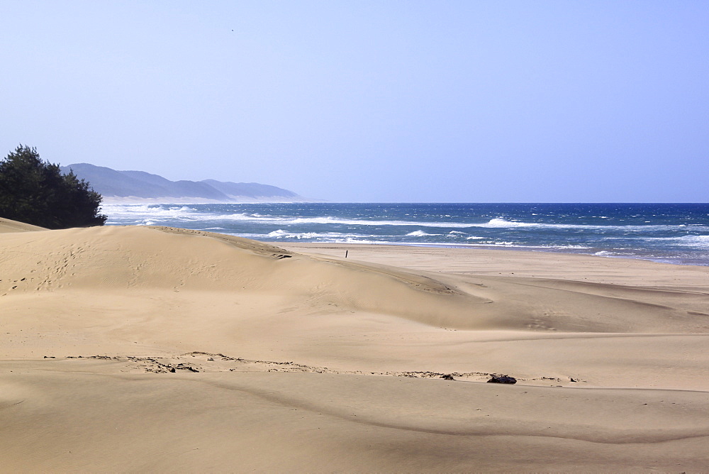 The beach, St. Lucia Wetlands, Kwa-Zulu Natal, South Africa, Africa