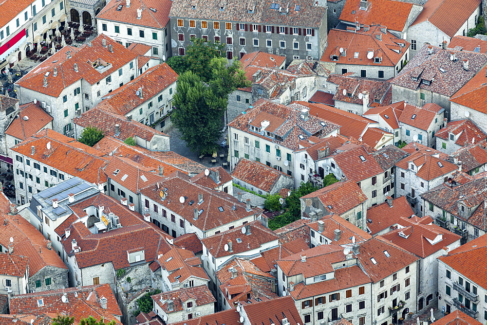 Telephoto view of Kotor Old Town, UNESCO World Heritage Site, Montenegro, Europe 